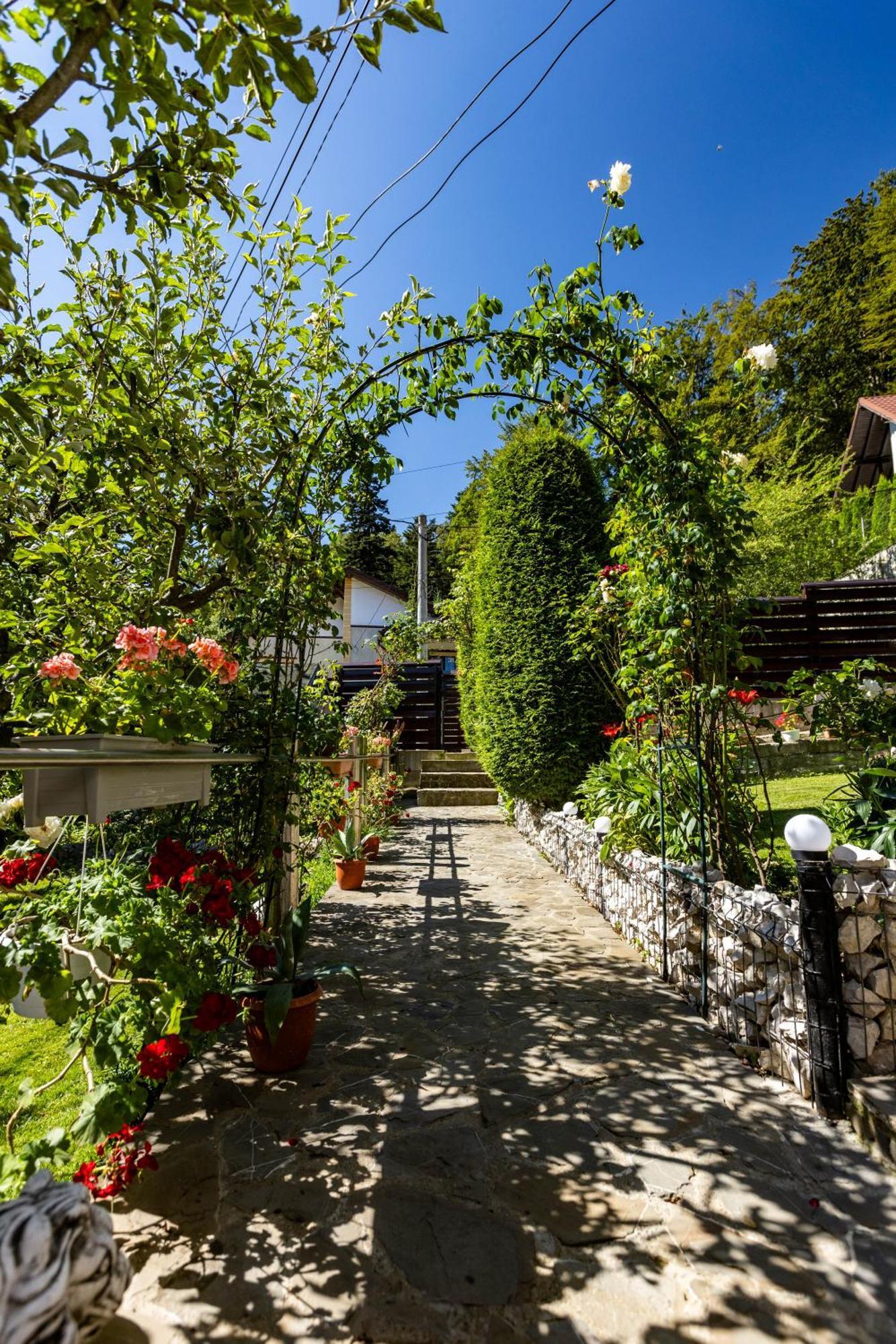 Villa Falco Bianco Busteni Bagian luar foto