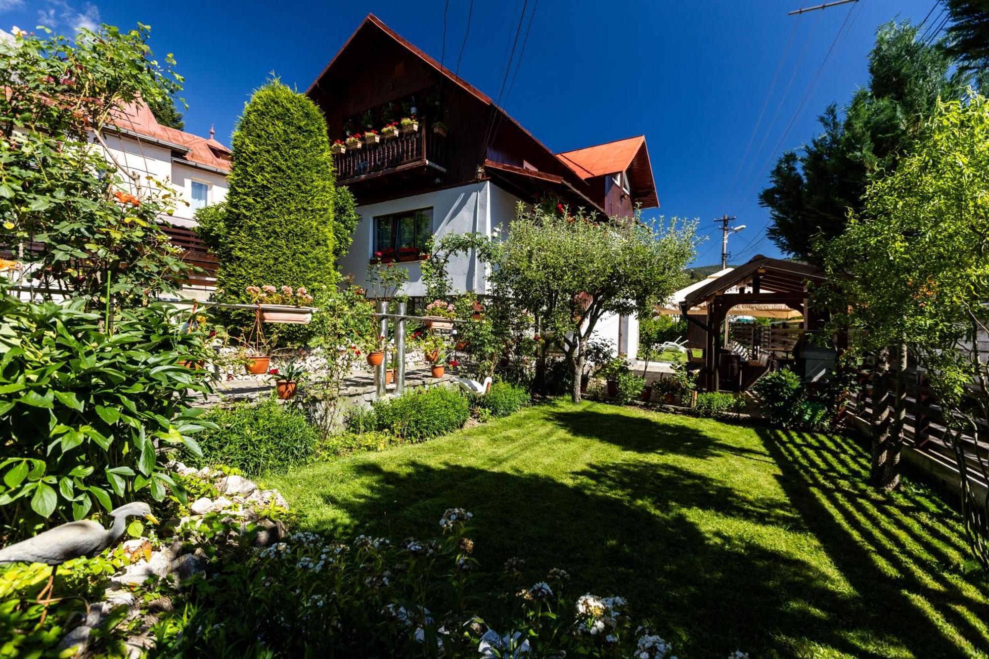 Villa Falco Bianco Busteni Bagian luar foto